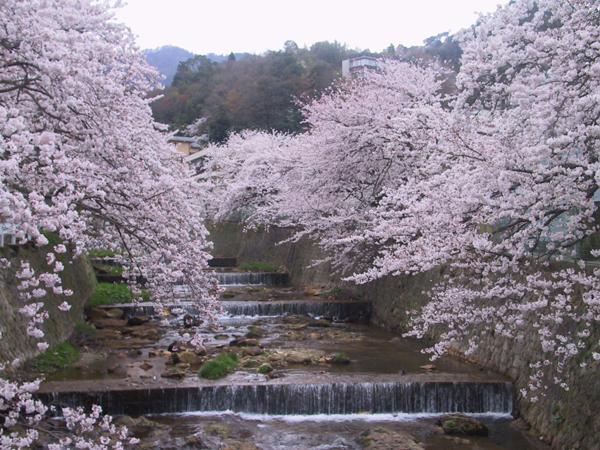 Kadonobo Ryokan Kobe Dış mekan fotoğraf